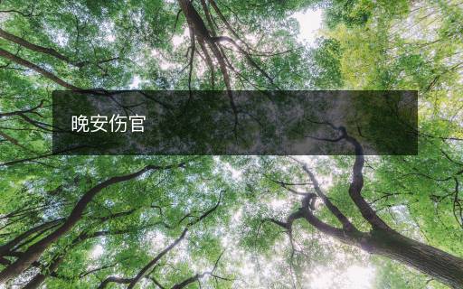 晚安伤官