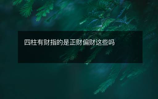 四柱有财指的是正财偏财这些吗