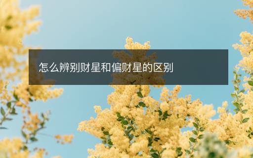 怎么辨别财星和偏财星的区别