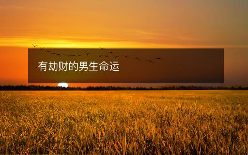 有劫财的男生命运