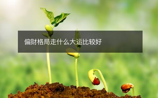 偏财格局走什么大运比较好