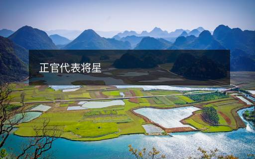 正官代表将星 正官代表将星