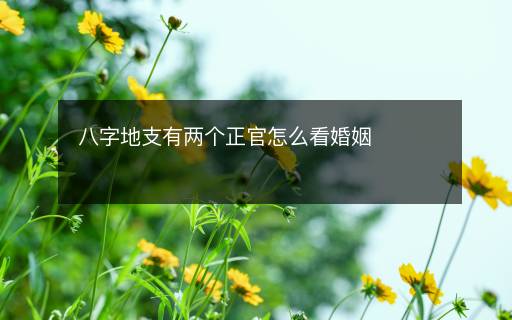 八字地支有两个正官怎么看婚姻