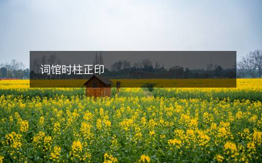 词馆时柱正印