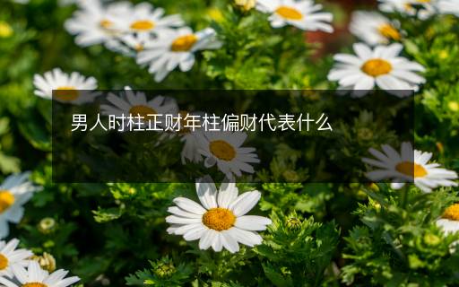 男人时柱正财年柱偏财代表什么 男人时柱正财年柱偏财代表什么