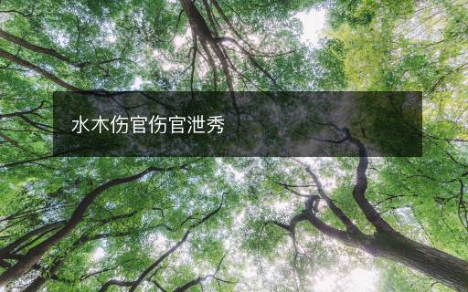 水木伤官伤官泄秀