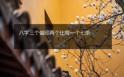 八字三个偏印两个比肩一个七杀