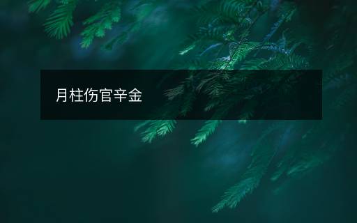 月柱伤官辛金