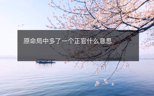 原命局中多了一个正官什么意思