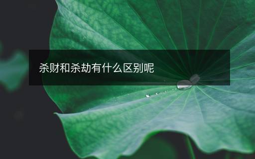 杀财和杀劫有什么区别呢