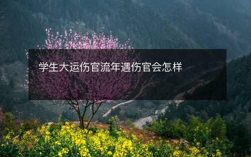 学生大运伤官流年遇伤官会怎样