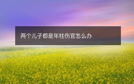 两个儿子都是年柱伤官怎么办