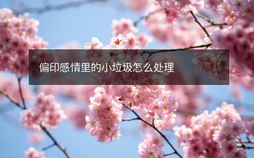 偏印感情里的小垃圾怎么处理 偏印感情里的小垃圾怎么处理