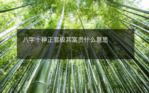 八字十神正官极其富贵什么意思