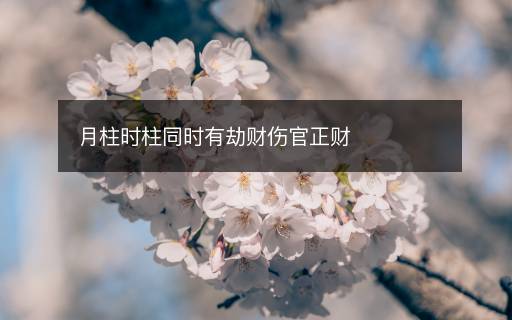 月柱时柱同时有劫财伤官正财