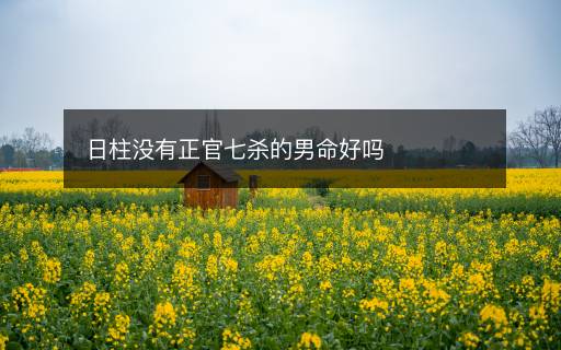日柱没有正官七杀的男命好吗