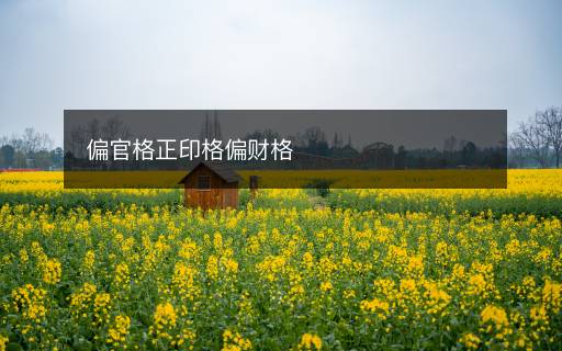 偏官格正印格偏财格