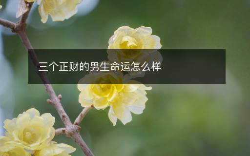 三个正财的男生命运怎么样
