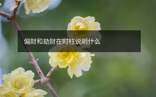 偏财和劫财在时柱说明什么