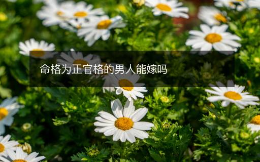 命格为正官格的男人能嫁吗