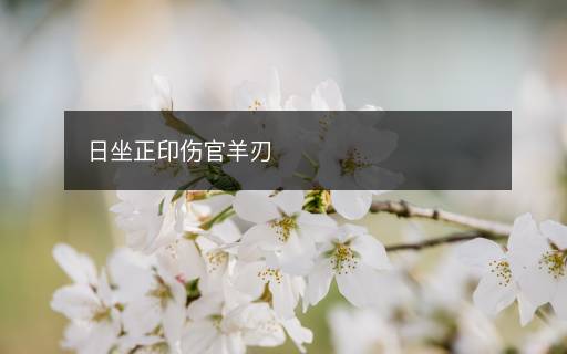 日坐正印伤官羊刃