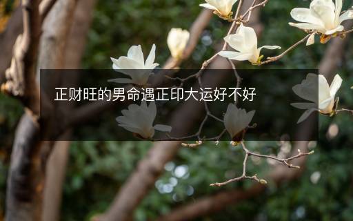 正财旺的男命遇正印大运好不好