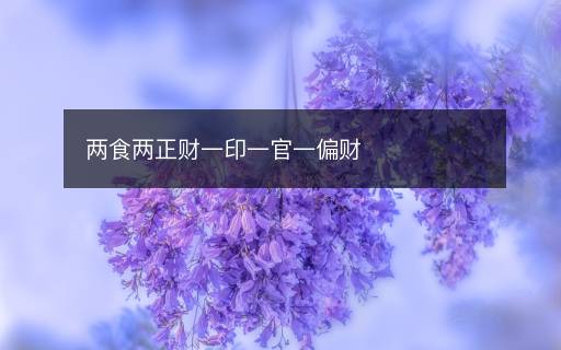 两食两正财一印一官一偏财