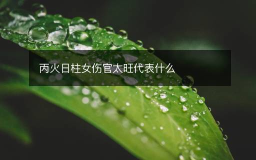 丙火日柱女伤官太旺代表什么