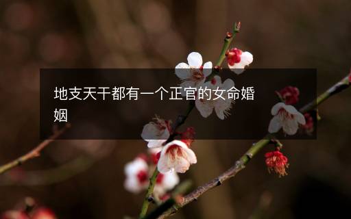 地支天干都有一个正官的女命婚姻