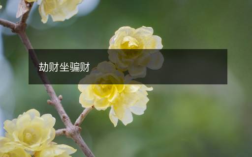 劫财坐骗财