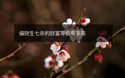 偏财生七杀的财富等级有多高