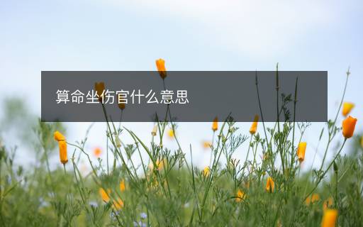 算命坐伤官什么意思