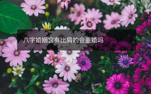 八字婚姻宫有比肩的会重婚吗