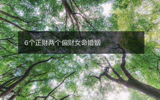 6个正财两个偏财女命婚姻