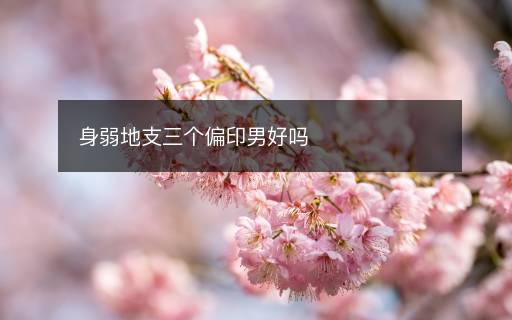 身弱地支三个偏印男好吗