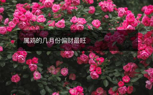 属鸡的几月份偏财最旺