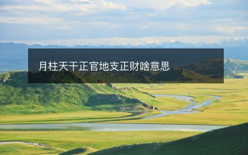 月柱天干正官地支正财啥意思