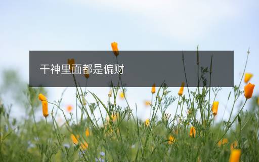 干神里面都是偏财