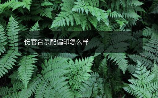 伤官合杀配偏印怎么样