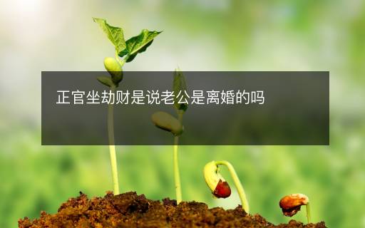 正官坐劫财是说老公是离婚的吗 正官坐劫财是说老公是离婚的吗