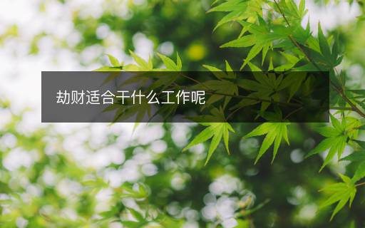 劫财适合干什么工作呢 劫财适合干什么工作呢