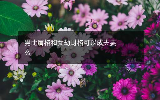 男比肩格和女劫财格可以成夫妻么