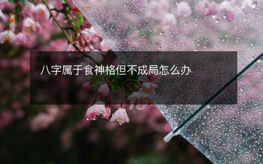 八字属于食神格但不成局怎么办