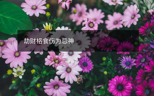 劫财格食伤为忌神