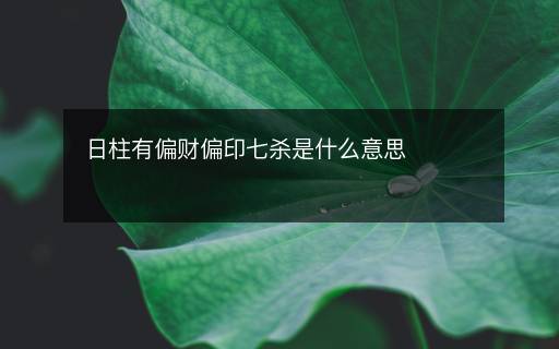 日柱有偏财偏印七杀是什么意思