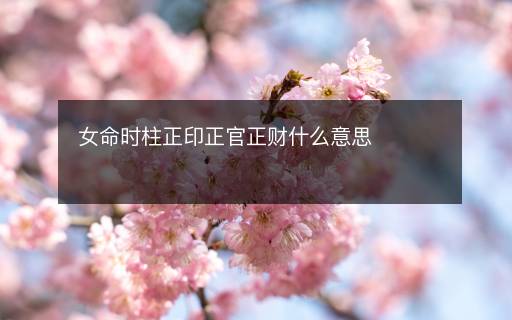 女命时柱正印正官正财什么意思