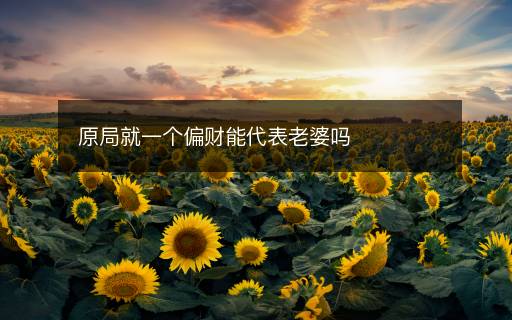 原局就一个偏财能代表老婆吗