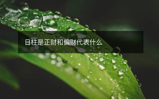 日柱是正财和偏财代表什么