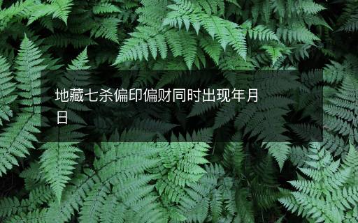 地藏七杀偏印偏财同时出现年月日