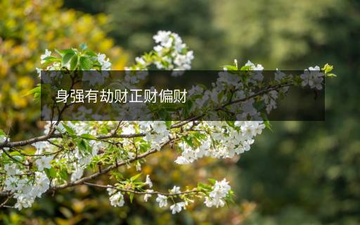 身强有劫财正财偏财